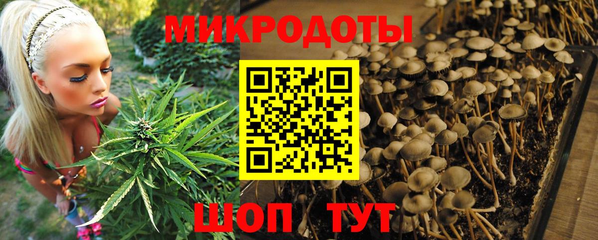 ГАШ Лысьва